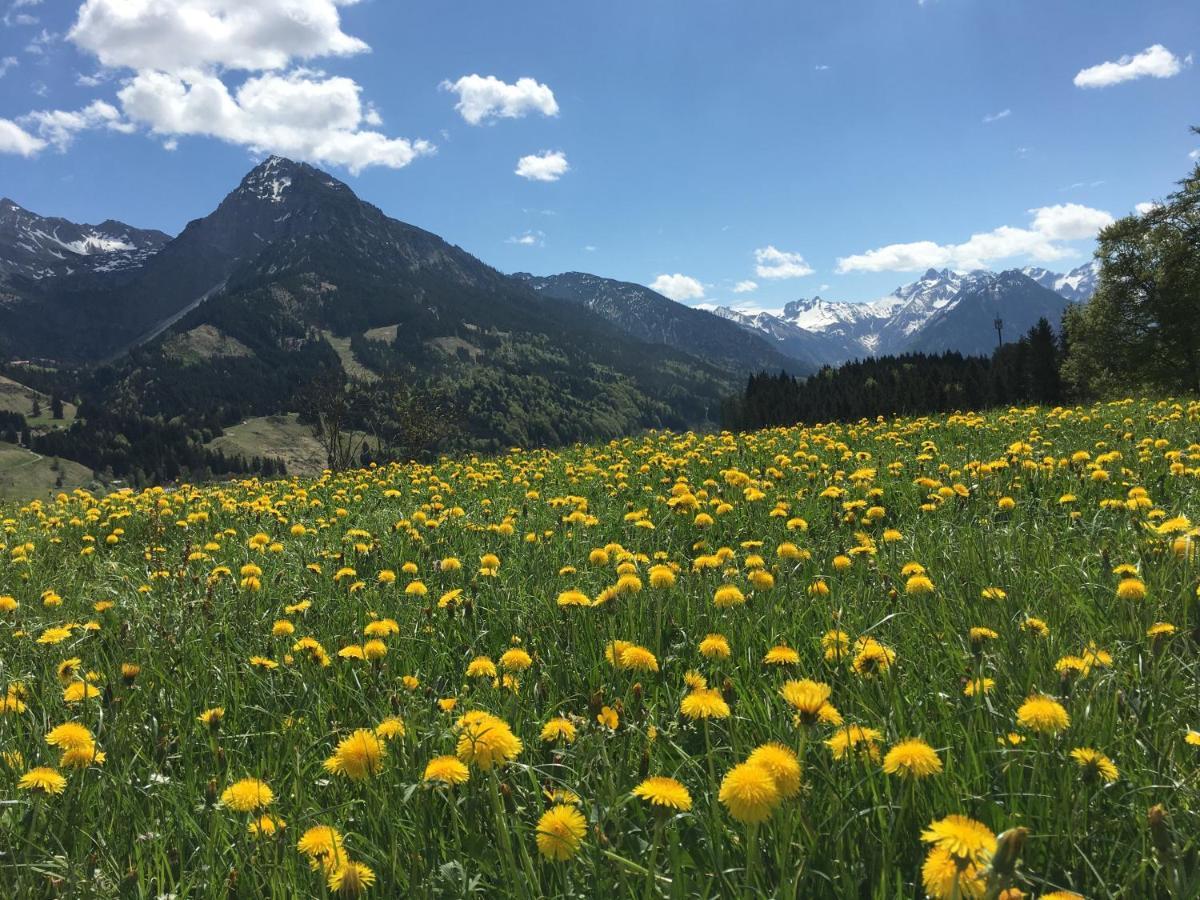 Bergfex Gaisalphorn Mit Sommer-Bergbahnticket Oberstdorf Exterior photo
